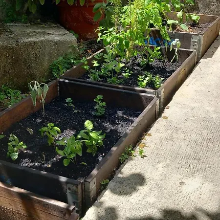 Apartment Fran Opatija *