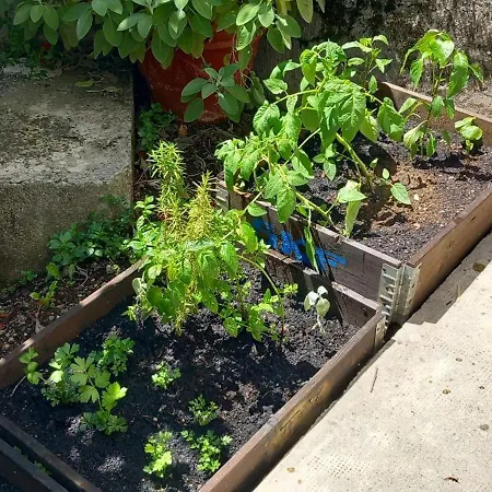 Fran Opatija Rukavac (Primorje-Gorski Kotar)